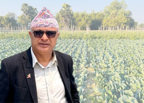 कोशी प्रदेश सरकारले ल्यायो कृषकलाई व्यावसायिक कृषि बढाउने अवसर कोशी प्रदेश सरकारले ल्यायो कृषकलाई व्यावसायिक कृषि बढाउने अवसर