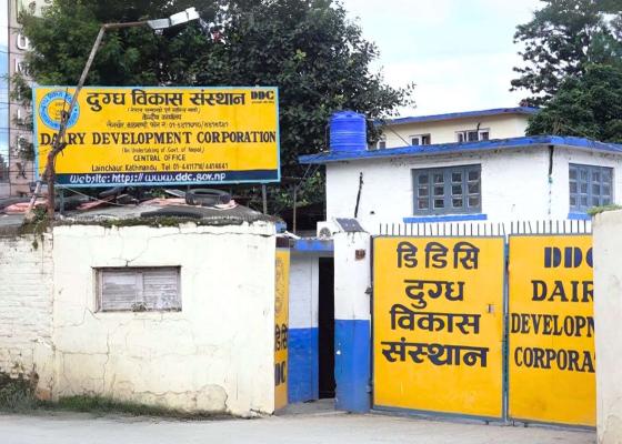 सरकारी उद्योगमा सुधारको संकेत, घाटामा रहेका केही उद्योग नाफातर्फ सरकारी उद्योगमा सुधारको संकेत, घाटामा रहेका केही उद्योग नाफातर्फ